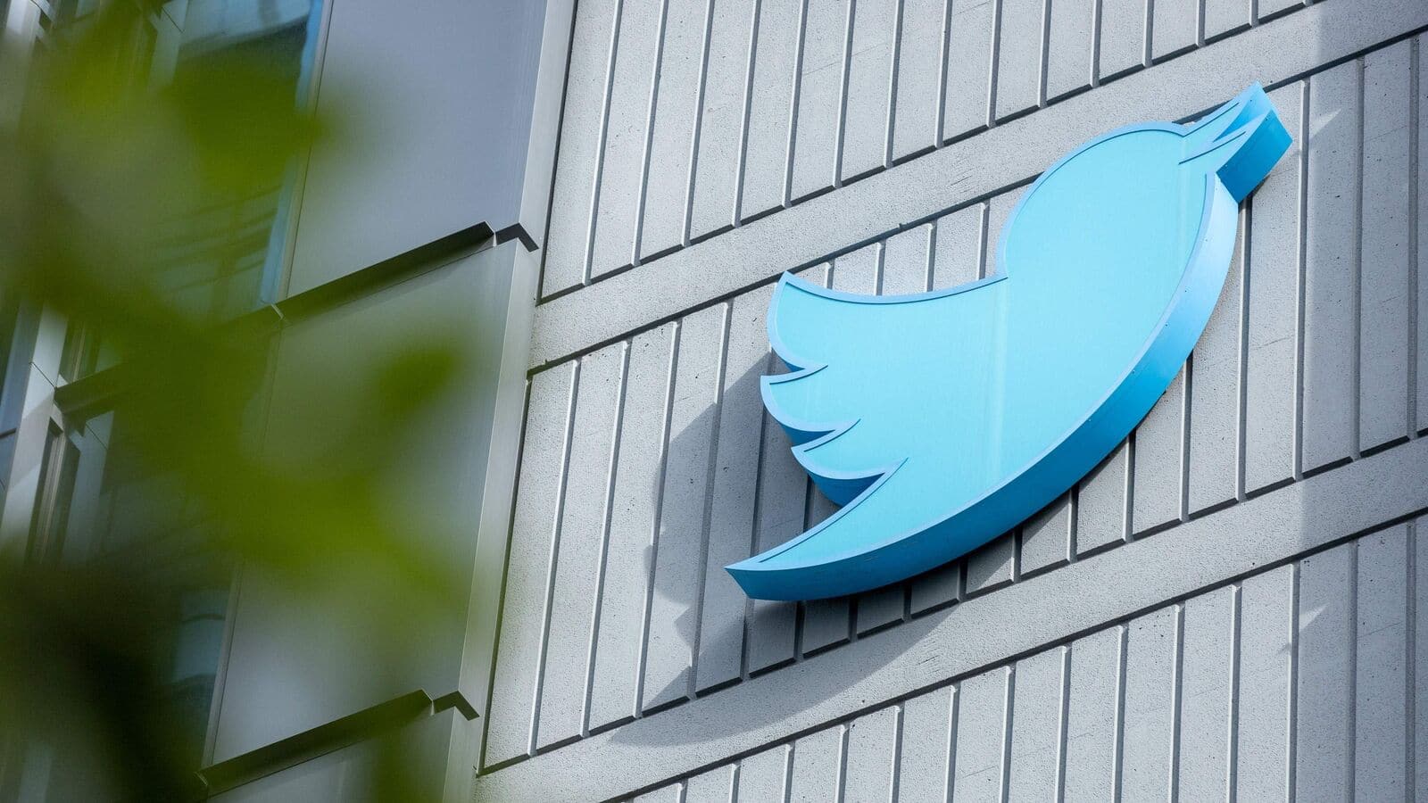 Unleashing the Power of Twitter: Exploring the Twitter Video Downloader Phenomenon